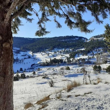 Apartamento Solano - Virgen De La Vega - Alcala Ideal Montana Y Relax Teruel Exteriér fotografie