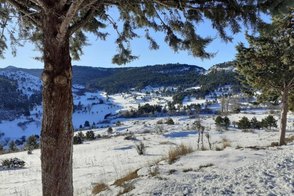 Apartamento Solano - Virgen De La Vega - Alcala Ideal Montana Y Relax Teruel Exteriér fotografie